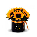 E1 - Box de Girasoles